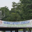 동탄공원로(중앙분리대) | 동탄 주말 필수 코스 | 동탄 센트럴파크 음악분수 시간표, 축제 후기, 피크닉장, 똥놀이터