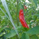 내리농장 이미지