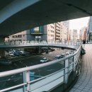 당신의 꽃그림, 보태니컬 아트 이미지