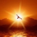 평화로(2) 이미지