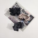 세인가헤어 이미지