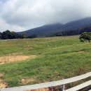 무등목장 이미지