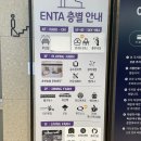 춘천 엔타ENTA 메가박스 석사점, 아바타2 3D 관람 후기 (ft.층별안내)