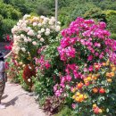 덕산가축병원 이미지