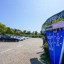 항몽유적지 이미지