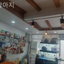 똥깡아지애견샵 이미지