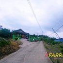 🐄 경남 창녕군 자동화 낙농 목장 매물 – 소와 함께하는 삶, 그리고 완성된 수익 구조(250514-6)