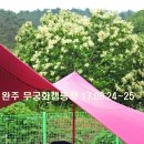 138차 완주 무궁화 카라반 17.06.24 이미지