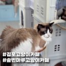 솔빈마루 이미지