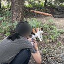 가평카라반캠핑농원 이미지