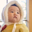 꼬노꼬노 이미지