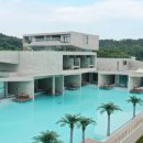 엘리스테이보령 이미지