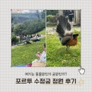 수정궁 | [포르투 여행] 수정궁 정원 후기 : Jardins do Palacio de Cristal