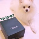 와즈펫(wispet) | 와즈펫 프리미엄 반려견가정식 스타터팩 후기