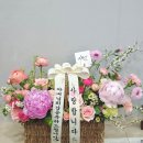 파인트리플라워 이미지