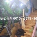 휠링민박 이미지