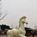 포니랜드 이미지