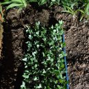 그린농자재마트 이미지