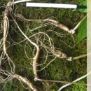 애월농장 이미지