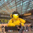 에덴과수원 | 공항(DOH) '알 마하 라운지' / '카타르항공' 탑승✈️ 인천-도하(경유)-베니스, 로마-도하(경유)-인천 후기