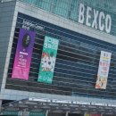 조아캣 | [2026 벡스코 궁팡] 36th 궁디팡팡 캣페스타 후기