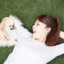 펫앤쇼핑 이미지