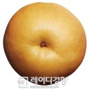 소리보관 이미지