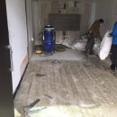 서울애견미용실 이미지