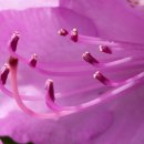 진달래빌딩 이미지