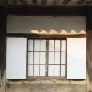 정글디자인 이미지