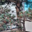 E-한나요양보호사교육원 이미지
