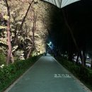 씨제이올리브영(주) 합정카페거리점 | 25-8,9월🍁