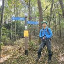 남파랑길 17코스(고현버스터미널~장목파출소)251115(1) 이미지