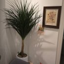 무인카페데이지 이미지