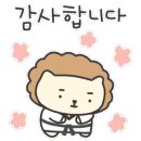양천 차오름 태권도장 이미지