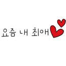 데이앤유 이미지