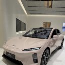 삼성종합카,고속렉카 | 폴스타4 vs 테슬라 모델Y — 한국에서 '진짜 프리미엄 전기 SUV'를 고른다면