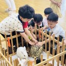 새벗유치원 이미지