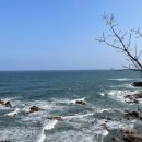 흙과나무의파도소리 이미지