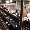 무성공인중개사사무소 이미지