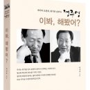 브이아이자전거