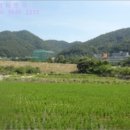 성지골천 네이버블로그