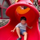 BR스쿨어린이집 이미지