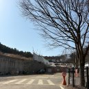 오토세븐 | 서울 근교 글램핑 김포한강오토캠핑장 아이와 가기 좋은 가족 캠핑장