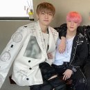 엘리브플레르 이미지