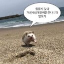 부캐가 3개인 사람의 일상