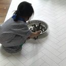 베비랑어린이집 | 서울근교 갯벌체험 아이와가기좋은 갯벌 영흥도 몽돌해변