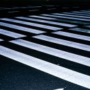 신호경로당 이미지