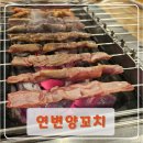 연변소문난양꼬치 | [김해 장유 맛집] 무계 먹자골목 '연변양꼬치' 셋이서 양갈비 30개+만두국까지 격파 후기!