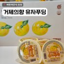 6살 어린이간식 추천! 거제유자바다 유자푸딩 후기